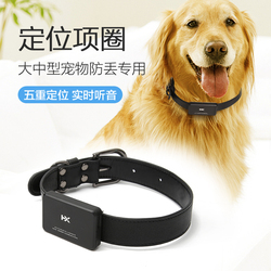 寵物防丟器與寵物定位器 守護(hù)毛孩的安全指南