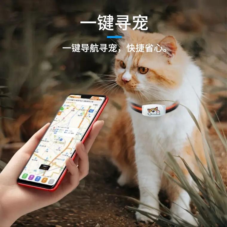 廣州4G寵物定位追蹤器 全天候守護(hù)，隨時(shí)掌管愛寵行蹤