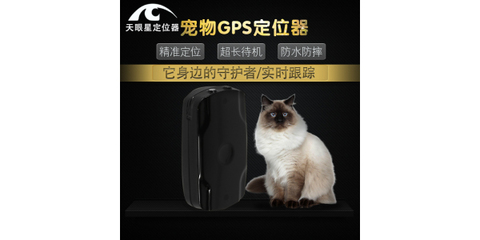 迷你定位器 守護(hù)寵物安全的智能伴侶
